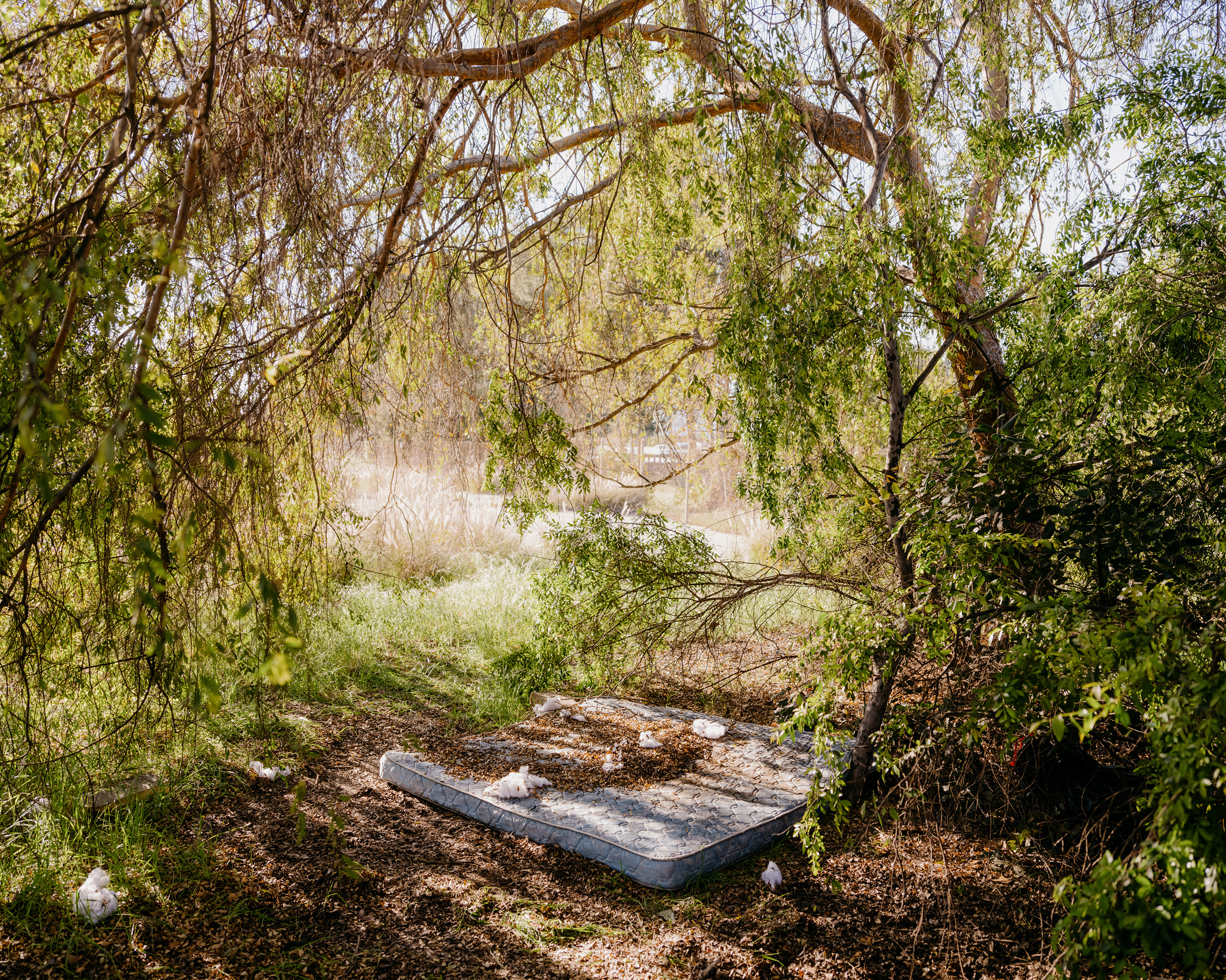 A bed under the willow trees, Burbank 2022